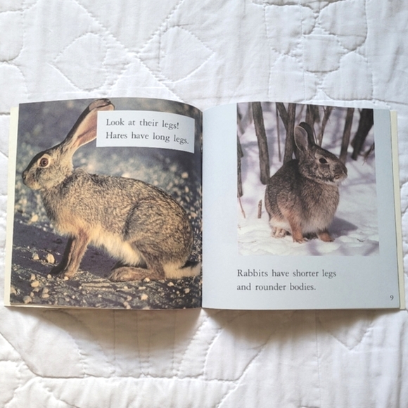 3/$15 🌸 Look-Alike Animals - Picture 5 of 7